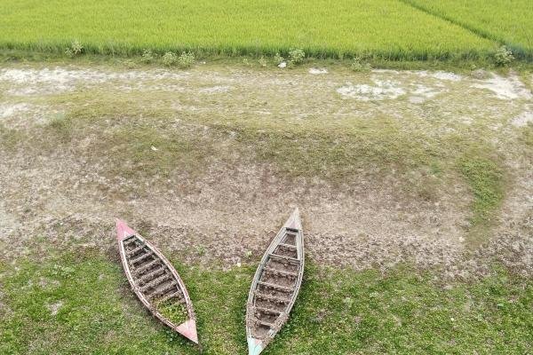Wooden Boats on Ground in Countryside